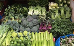 Ra chợ thấy 4 loại rau này, mạnh dạn nhắm mắt MUA LUÔN