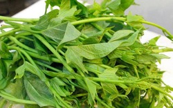 5 loại rau "ít thuốc, siêu lành": Giá rẻ nhất chợ Việt, không mua quá phí