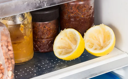 Tại sao nên giữ miếng lót y tế trong tủ lạnh?