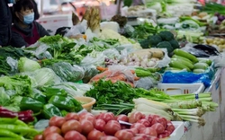 5 loại rau dễ “ôm ổ ký sinh trùng”, dân buôn cũng ngại ăn