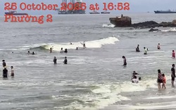 Vụ nước biển Vũng Tàu có màu xanh lá: Công bố nguyên nhân chính thức