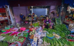 Chị bán rau ở chợ đầu mối chia sẻ: 4 loại rau tăng sốc nhất tháng này – và 4 món rẻ bằng một nửa để thay thế ngay