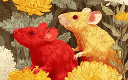 Trời càng lạnh, 3 con giáp này càng gặp may