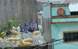 Dân vùng mưa lũ Gia Lai co ro trên mái nhà, lực lượng chức năng xuyên đêm cứu hộ