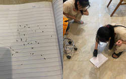 Sốc: 60 con chấy bò ra từ mái tóc của "girl phố" 2k4, tiệm gội đầu phải tổng vệ sinh sau khi tiễn khách