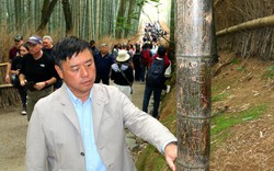 Du khách khắc bậy chi chít vào rừng tre biểu tượng, Nhật Bản đưa ra quyết định sốc