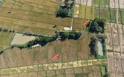 Cánh đồng gần chùa bỗng đổi dạng trong một đêm, dân làng xôn xao "chưa từng thấy bao giờ"