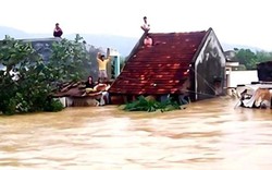 Hơn 19.000 ngôi nhà bị ngập, Gia Lai xin hỗ trợ khẩn cấp 2.000 tấn gạo