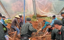 Tìm thấy người đàn ông bị đất đá vùi lấp tử vong khi làm vườn