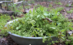 Món đặc sản Việt nghe tên thôi đã "rớt nước mắt"