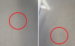 Chủ nhà đến kiểm tra, người thuê bị hạch sách đủ đường vì trên thảm có 3 vết bụi nhưng như thế vẫn chưa phải yêu cầu vô lý nhất