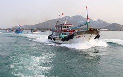 Kiểm soát tàu cá và thông tin ngư dân trên ứng dụng VNeID