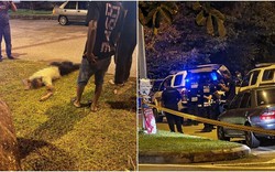 Đang ăn tối ở nhà hàng, người đàn ông ở Malaysia bỏ chạy khi 2 chiếc ô tô dừng trước cửa nhưng bị bắn tử vong