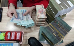 Hộ kinh doanh dưới 1 tỷ/năm phải nộp bao nhiêu thuế: Con số khiến nhiều người ngỡ ngàng!