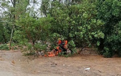 Cận cảnh giải cứu người dân mắc kẹt trên ngọn cây, mái nhà