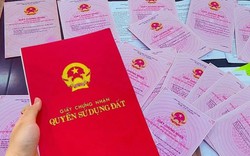 Cách nộp sổ đỏ trên VNeID để "làm sạch" dữ liệu đất đai