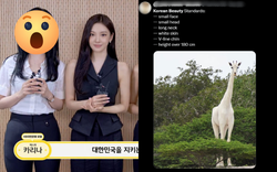 Tiêu chuẩn sắc đẹp "dị dạng" của dân Hàn chỉ một idol đáp ứng được