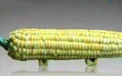 Mang "quả ngô" đi thẩm định cổ vật bị chuyên gia phán  là đồ giả, cụ ông cười khẩy nói: "Có biết tôi là ai không?"