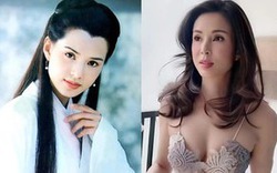 Tiểu Long Nữ đẹp nhất màn ảnh: Từng là tiếp viên hàng không, U60 vẫn lẻ bóng