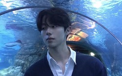 20 dấu hiệu của người thông minh