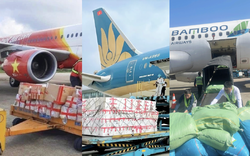Một loạt hãng bay Việt Nam lên tiếng
