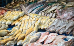4 loại cá ăn nhiều "phá gan", ngon bổ mấy cũng hạn chế