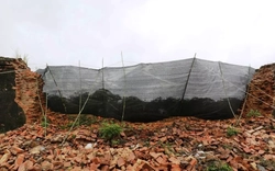 Hoàng thành Huế xuất hiện sập lún, ban bố tình huống khẩn cấp