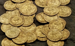 2 vợ chồng đào được số tiền vàng trị giá 16 tỷ đồng trong vườn