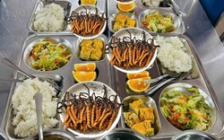 Xuất hiện bữa ăn toàn đông trùng hạ thảo xa xỉ gây sốt ở 1 trường học Hà Nội: Thực hư ra sao?