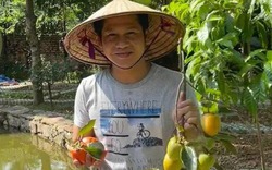 Báu vật trong biệt thự của Trọng Tấn