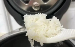 Có nên để nồi cơm điện luôn cắm điện ở chế độ giữ ấm?