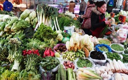 5 loại rau tốt ngang nhân sâm mùa này, đi chợ thấy phải MUA ngay