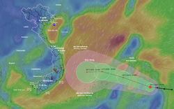 Mưa lũ lịch sử làm 91 người tử vong, biển Đông lại đón cơn bão mới hướng thẳng vào miền Trung