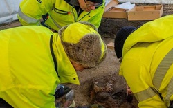 Mộ phần "công chúa Viking" 1.200 năm chứa điều không thể giải thích