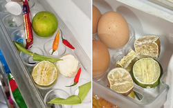 Trung bình cửa tủ lạnh của các gia đình Việt Nam đều có 1 thứ: Hóa ra có tác dụng bất ngờ