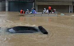 Mưa lũ gây tổn thất nặng nề ở Đông Nam Á