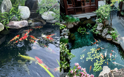 Trước nhà có ao phong thủy tốt hay xấu? Đọc xong bớt lo lấp ao vội