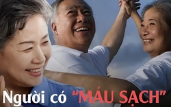 Người có "máu sạch" thường có 5 đặc điểm - nếu bạn đạt được 4, xin chúc mừng!