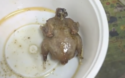 Mua gà rán nguyên con chỉ 7.000 đồng, cô gái "cười ngất" trước cách làm của người bán hàng