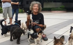 Buồn của phú nhị đại thừa kế 186 tỷ đồng từ cha mẹ tỷ phú: Tuổi xế chiều không nhà, không xe, trở thành người vô gia cư lang thang trên phố