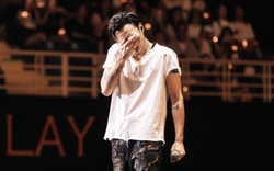 Công ty SOOBIN xin lỗi