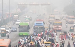 74/100: Con số kinh hoàng tại Ấn Độ