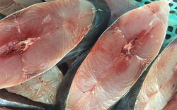 5 loại cá thịt dày, ít xương, bổ như tổ yến: Ra chợ thấy thì nhắm mắt MUA NGAY