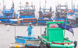 Thủ tướng: Ứng phó bão Koto ở mức cao nhất, đặt tính mạng người dân lên trên hết