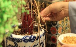 Điều tuyệt đối phải làm trước ngày Rằm tháng 10 âm lịch năm nay