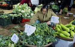 Sự thật giá rau "đắt hơn thịt" ở Hà Nội