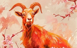 12 con giáp KHÔNG NÊN học ngành gì: Ai không nên học kế toán, hành chính, ai cần tránh xa những ngành cần giao tiếp, cởi mở?