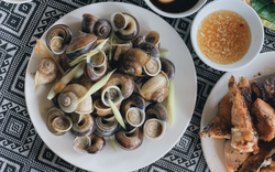 Loài vật tưởng chỉ có dưới nước, ai ngờ còn "bò" lên núi và trở thành đặc sản được săn lùng