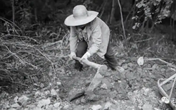 Người nông dân bất ngờ đào được con rắn đen mắt đỏ, chuyên gia một mực khẳng định là rồng: Sự thực là gì?