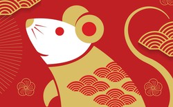 Tổng quan tử vi tuổi Tý năm 2026